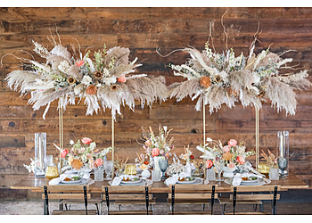 Round Rock Wedding Planners Blue Events & Co.