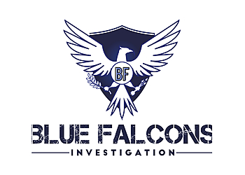 Blue Falcons Investigation Blue Falcons Investigation - Fayetteville, NC Private Investigation Service - Company Logo