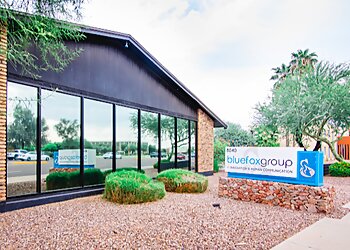 Blue Fox Group Scottsdale It Services image 1