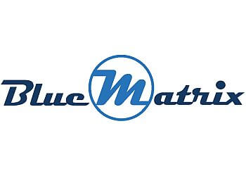 BlueMatrix Media Frisco Web Designers