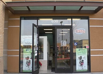 Blue Moon Pet Wash Fremont Pet Grooming image 1