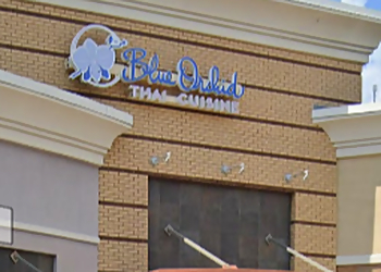 Jacksonville Thai Restaurants Blue Orchid Thai Cuisine