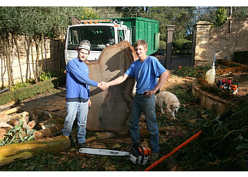 Blue Ox Tree Services