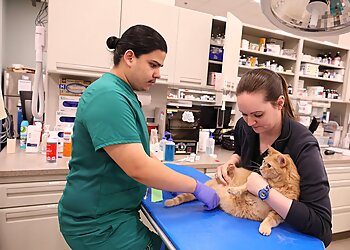 Augusta Veterinary Clinics BluePearl Pet Hospital