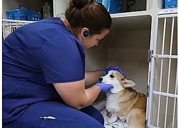 Cedar Rapids Veterinary Clinics BluePearl Pet Hospital