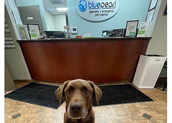 Bluepearl cheap veterinary clinic