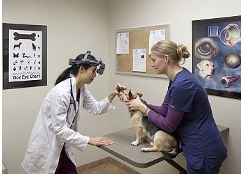 BluePearl Pet Hospital  - Overland Park, KS Veterinary Clinics - Doctor With Patient Image
