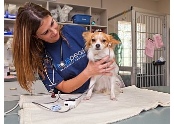 BluePearl Pet Hospital  - Overland Park, KS Veterinary Clinics - Service Highlights