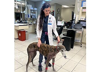 Philadelphia Veterinary Clinics BluePearl Pet Hospital