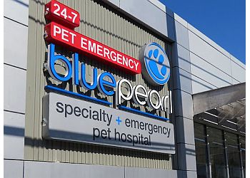 Philadelphia veterinary clinic BluePearl Pet Hospital