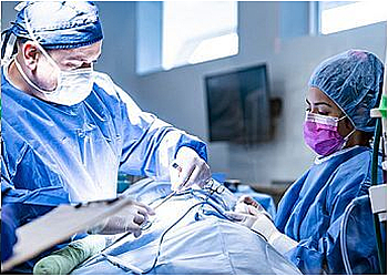 Tacoma Veterinary Clinics BluePearl Pet Hospital