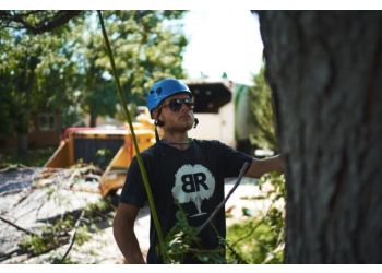Blue River Forestry & Tree Care Boulder Tree Services