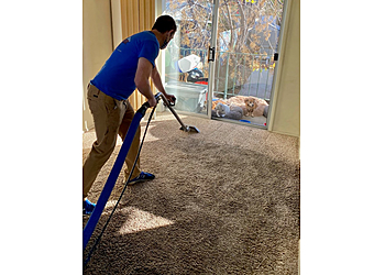 Glendale Carpet Cleaners Blue Rooster Carpet Cleaning