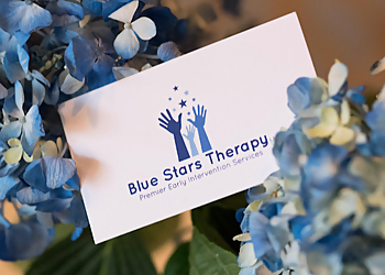 Blue Stars Therapy St Louis Occupational Therapists image 1