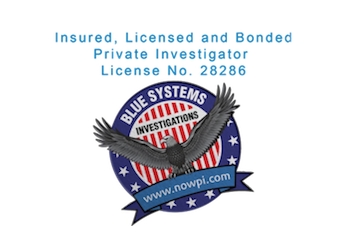 Blue Systems International Anaheim Private Investigation Service image 1