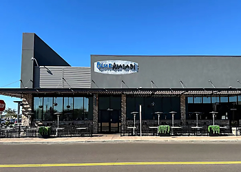 Gilbert Sushi Blue Wasabi