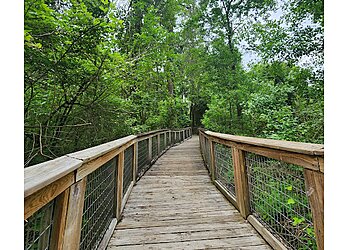 Baton Rouge Hiking Trails Bluebonnet Swamp Nature Center