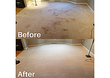 Lexington Carpet Cleaners Bluegrass Cleaning & Hardwood Refinishing Company