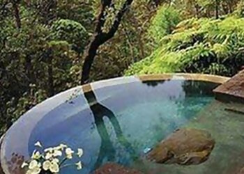 Lexington Pool Services Bluegrass Pool and Spa LLC