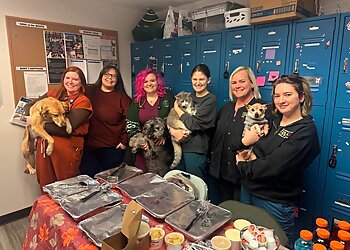 Lexington Veterinary Clinics Bluegrass Veterinary Specialists + Animal Emergency