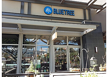 Bluetree Cafe Kapiolani Honolulu Juice Bars image 1