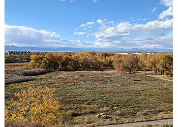 Denver Hiking Trails Bluff Lake Nature Center