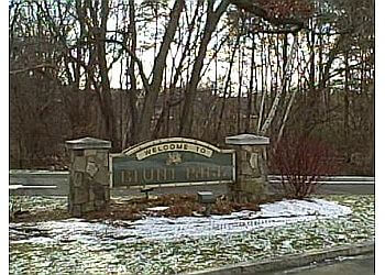Blunt Park Blunt Park - Springfield, MA Public Parks - Park Image