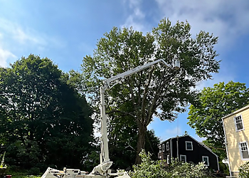 New Haven Tree Services Bobby L Tree Service LLC