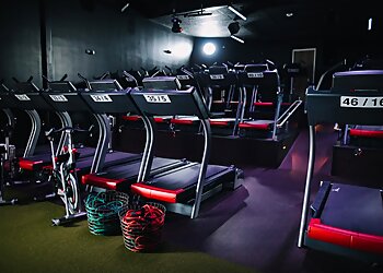 Plano Gyms Body Machine Fitness