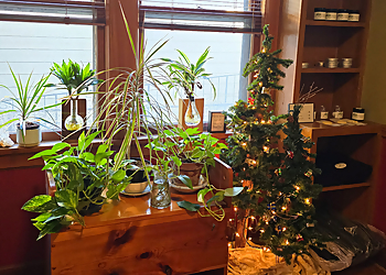 Wichita Massage Therapy Body & Soul Therapeutic Massage