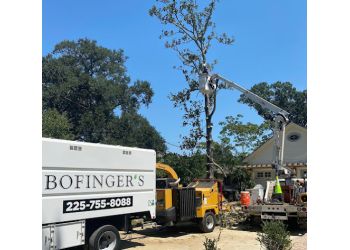 Bofinger's Tree Service Baton Rouge Tree Services