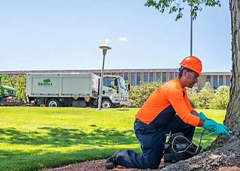 Boise City Tree Services Boise Tree SavATree