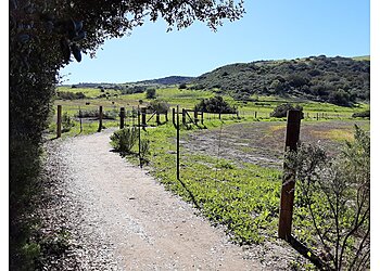 Irvine Hiking Trails Bommer Canyon Trail