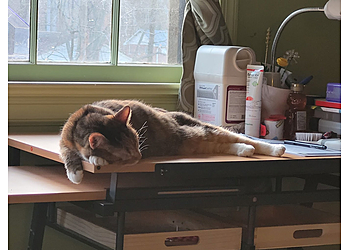 Richmond Veterinary Clinics Bon Air Animal Hospital