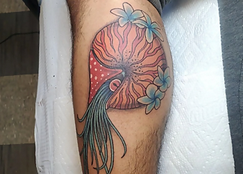Bonaroo Aurora Aurora Tattoo Shops image 1
