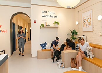 New York Veterinary Clinics Bond Vet-Cobble Hill