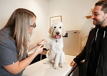 New York Veterinary Clinics Bond Vet-Cobble Hill