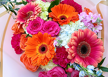 Bonita Flowers & Gifts - McAllen, TX Florists - Floral Arrangement Image