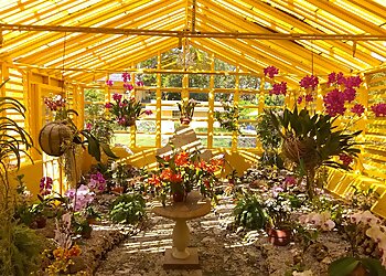 Fort Lauderdale Places To See Bonnet House Museum & Gardens