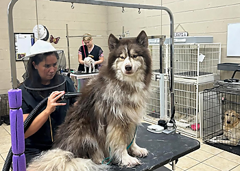 Killeen Pet Grooming Bonnie & Clyde Grooming and Supplies