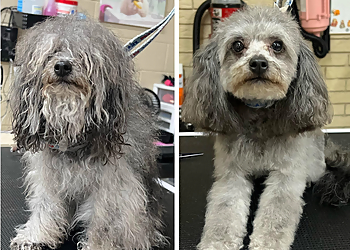 Killeen Pet Grooming Bonnie & Clyde Grooming and Supplies