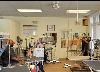 Washington Pet Grooming Bonnie's Dog & Cat Grooming