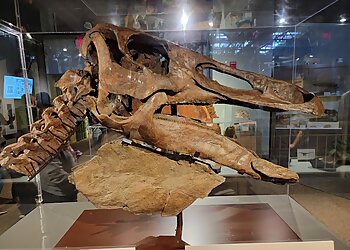 Dayton Places To See Boonshoft Museum of Discovery