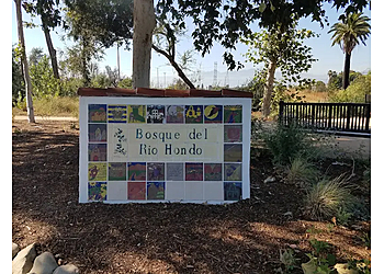 Bosque Del Rio Hondo El Monte Hiking Trails image 1
