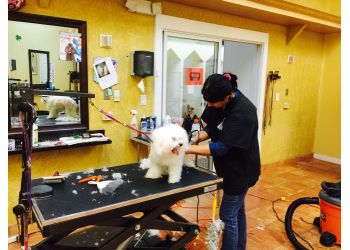 Boss the Pet Connection - Coral Springs, FL Pet Grooming - On-Site Service Image