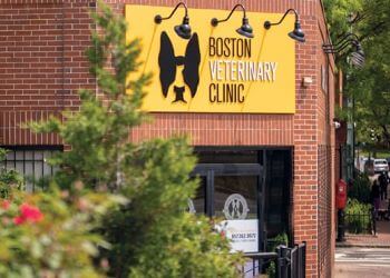 Boston Veterinary Clinic Boston Veterinary Clinics