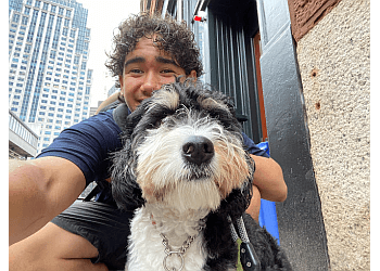 Boston's Best Dog Walkers And Pet Services