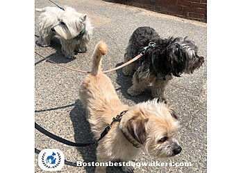Boston Dog Walkers Boston's Best Dog Walkers and Pet Services, LLC