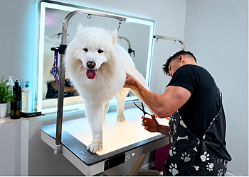 Boujee Mobile Pet Grooming - Hialeah, FL Pet Grooming - Service Image