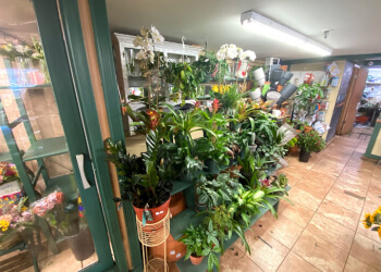 3 Best Florists in Jersey City, NJ - Expert Recommendations